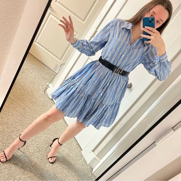 Veronica Beard Dresses & Skirts - VERONICA BEARD Stripe A-Line Fluted Pleated Button Down Dress sz. 4